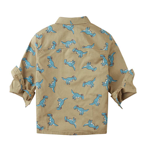 Рубашка с длинным рукавом Gingersnaps "Vlad Rex Rave", хаки